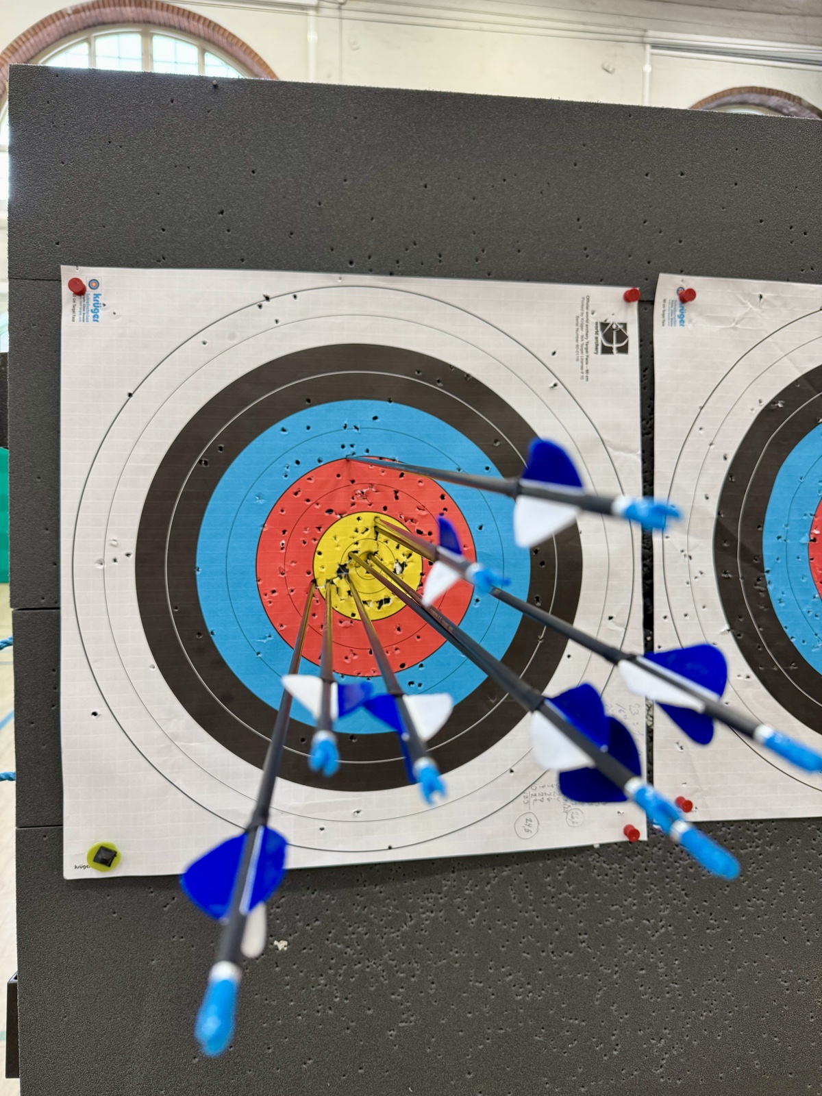 arrows grouped around the bullseye