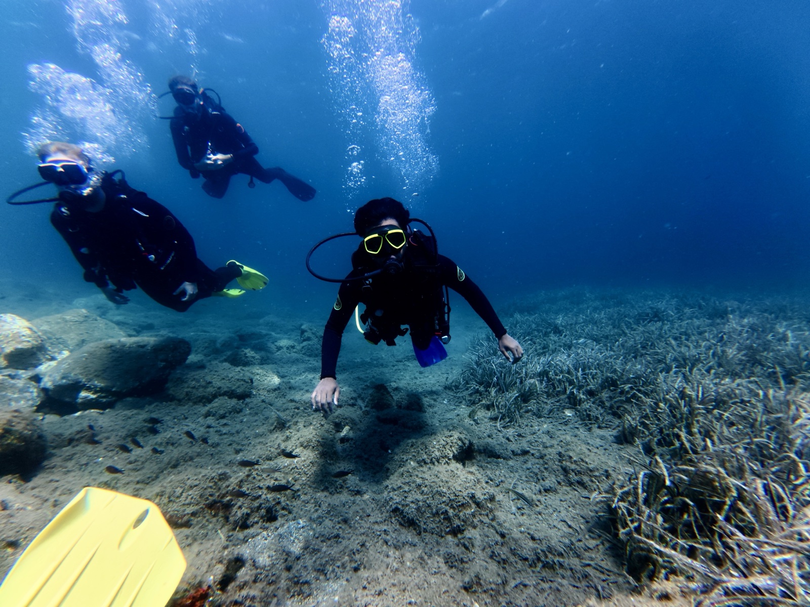 divers exploring the seabed